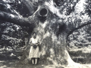 Ruby Watrous - Great Oak 1940 4x3